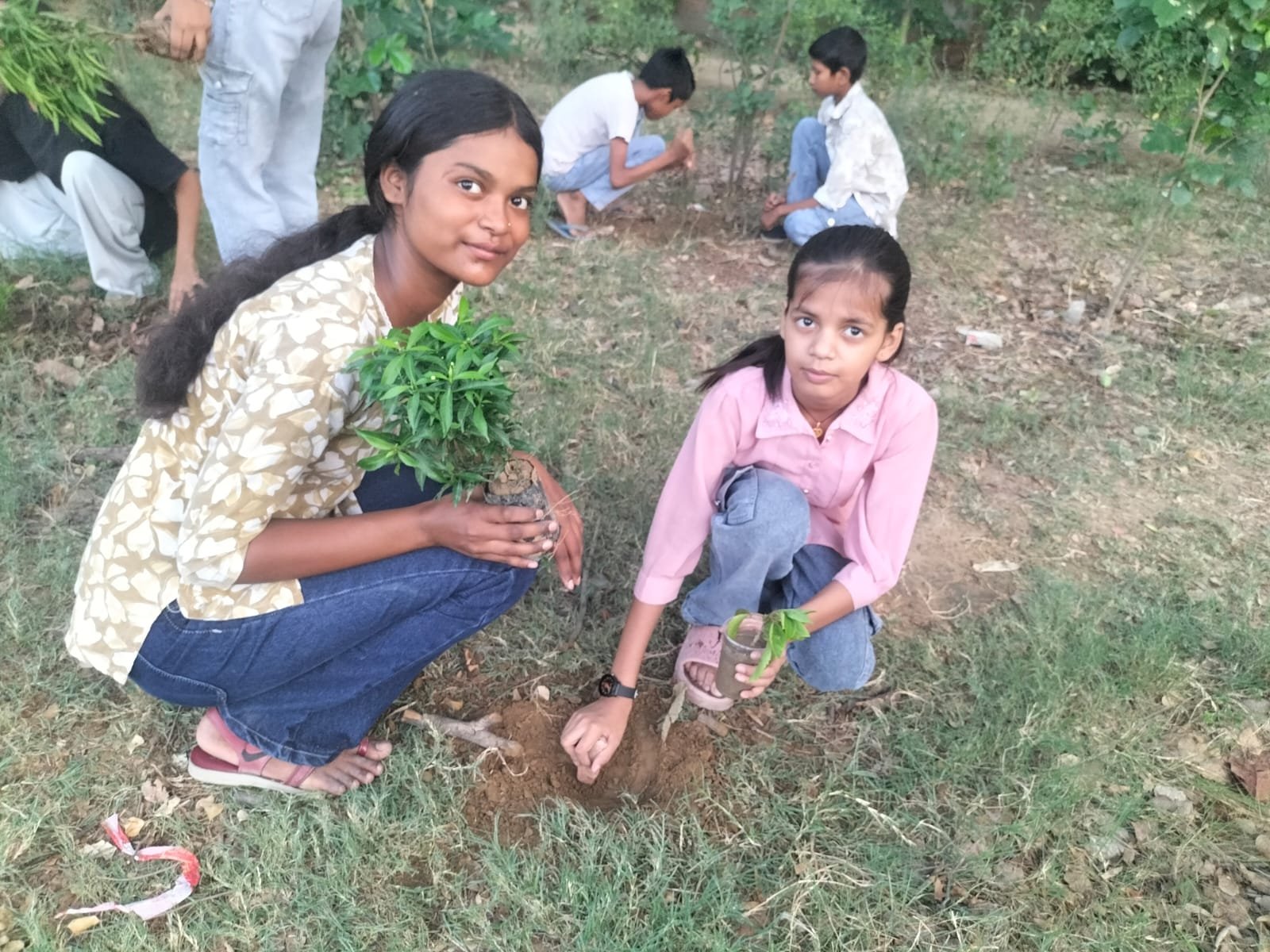 DDSA Environmental Awareness